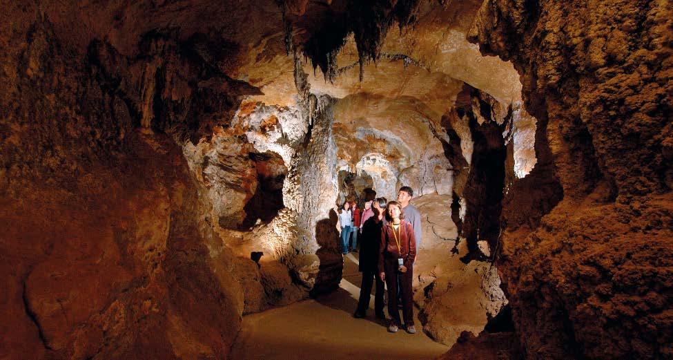 Blue Mountains & Jenolan Caves 7 Jenolan Caves (Jenolan Caves/Destination NSW) $175 adult $88 child Code: J32 Departs: Tue, Thu & Sat from 7.00am (Please confirm your pick-up location & time.