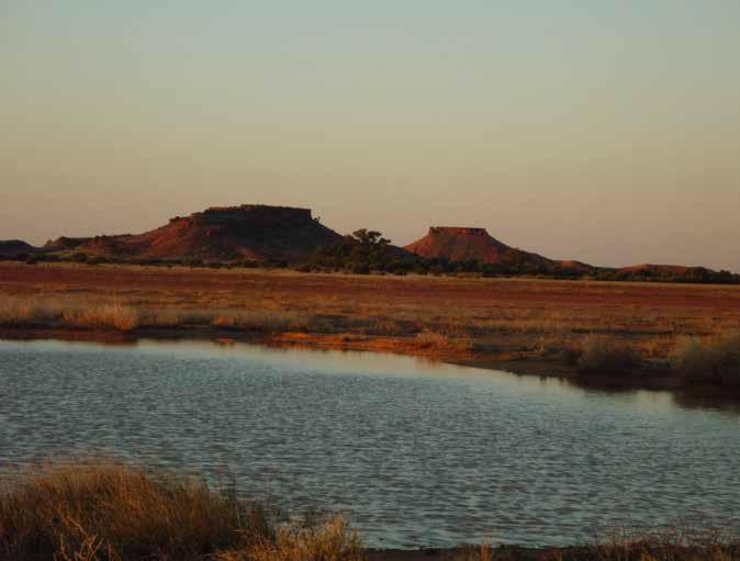 DIAMANTINA NATIONAL PARK 183KM SOUTHEAST OF BOULIA About the Park This 507,000 hectare park is home to many rare and threatened species including bilbies, kowaris and two ground dwelling birds- the