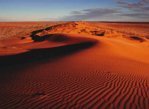 MUNGA-THIRRI NATIONAL PARK (PREVIOUSLY SIMPSON DESERT NP) 79 KM WEST OF BIRDSVILLE About the Park At one million hectares, Munga-Thirri National Park is Queensland s largest protected area.
