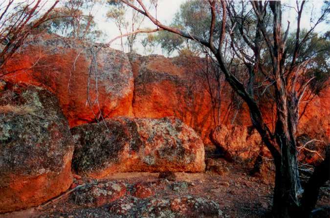 IDALIA NATIONAL PARK - 113KM SOUTH-WEST OF BLACKALL About the park This 144,000 hectare park protects extensive mulga woodlands, the headwaters of the Bulloo River and threatened wildlife, including