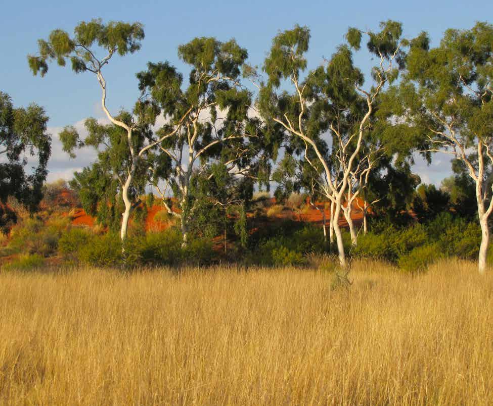 ABOUT CENTRAL WEST OUTBACK QUEENSLAND PARKS There are 13 national and conservation parks in Central West Outback Queensland. Of these, 12 are open to visitors and nine have vehicle access to the park.
