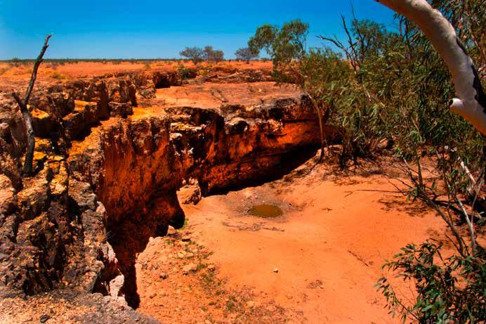 BLADENSBURG NATIONAL PARK 17KM SOUTHWEST OF WINTON About the Park Impressive flat-topped plateaus and residual sandstone ranges provide a scenic backdrop to vast grassland plains and river flats,