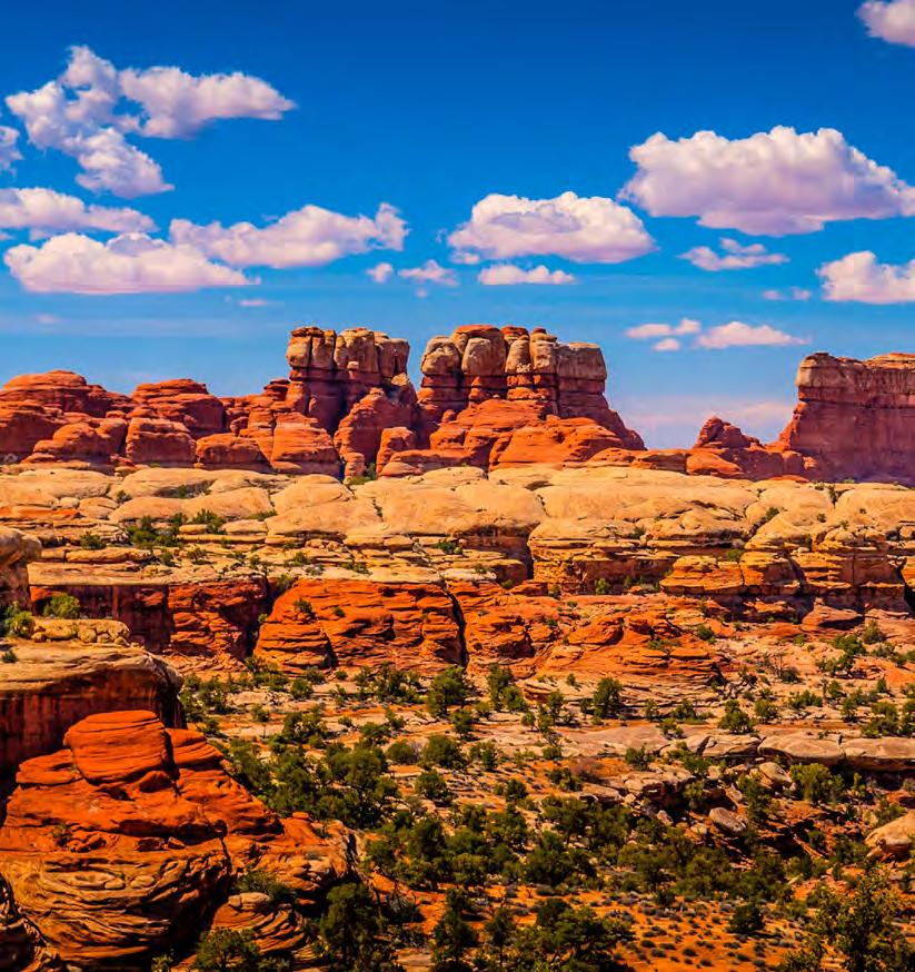 What to Expect From what to pack to entrance fees and weather, here s the scoop. CANYONLANDS NATIONAL PARK WHAT TO PACK Here s what to put in your suitcase for your Utah vacation spring through fall.