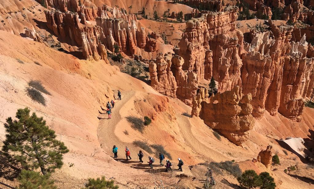 HIKING BRYCE AND ZION NATIONAL PARKS HIGHLIGHTS OCTOBER 31 NOVEMBER 4, 2018 TRIP SUMMARY Climbing the West Rim & Observation Point Trails in Zion National Park Hiking the amongst the Hoodoos in Bryce