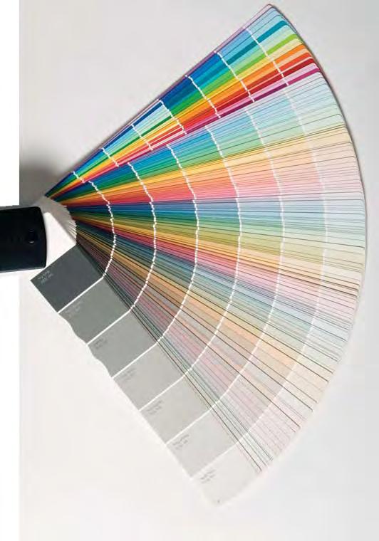 Considering color is such an important factor, why not provide your client with that precise shade?