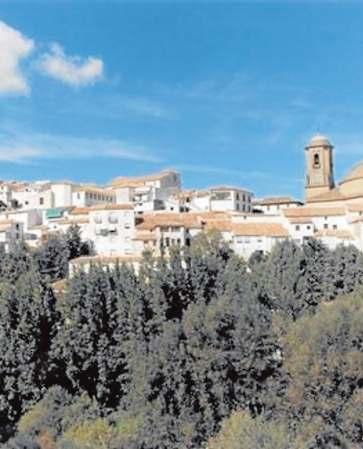 Apart from the aforementioned olive groves, part of the scenery is rugged, thanks to its location near the Granada Depression, in the central sector of the Bética mountain ranges.