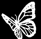 Wednesday the 23 rd Knee High Naturalists: Butterflies- 9:30-10:15 AM OR 4:00-4:45 PM Knee High Naturalists are children ages 2-4 and have an accompanying adult attend the program.