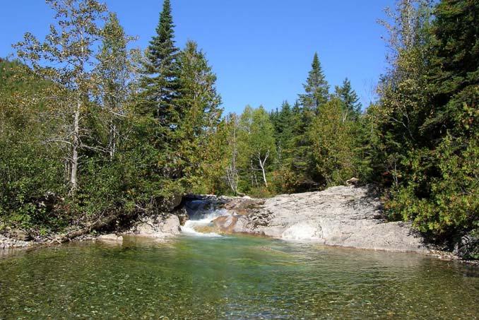 Grande Rivière Est with its limestone shores In certain areas of the valley floor, there are eastern white cedar/balsam fir stands