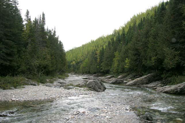 View of Grande Rivière and