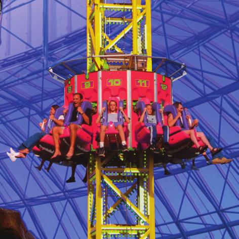 Slingshot, ultra thrill rides, bumper cars and 4-D shows!
