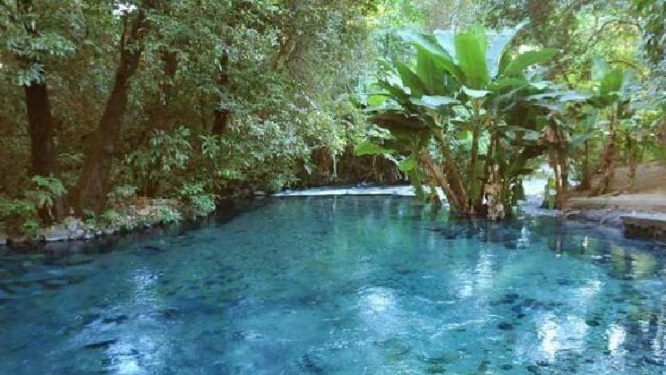 Guinness Book. The Blue River has a flow of approximately 11,000 liters of water per second, with transparent waters with stones in its bed of blue-green color.