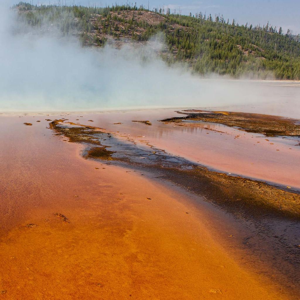 MANAGING YELLOWSTONE S VAST RESOURCES THROUGH CUTTING-EDGE SCIENCE PROJECTS Yellowstone is a special refuge from a busy world, an unspoiled ecosystem like no other.