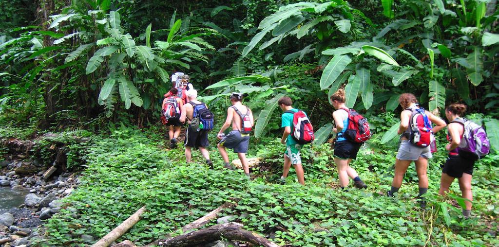 experience our trails Our network of trails offer naturalists, scientists, and recreationalists access to a vast array of ecosystems and tropical plant and animal species.