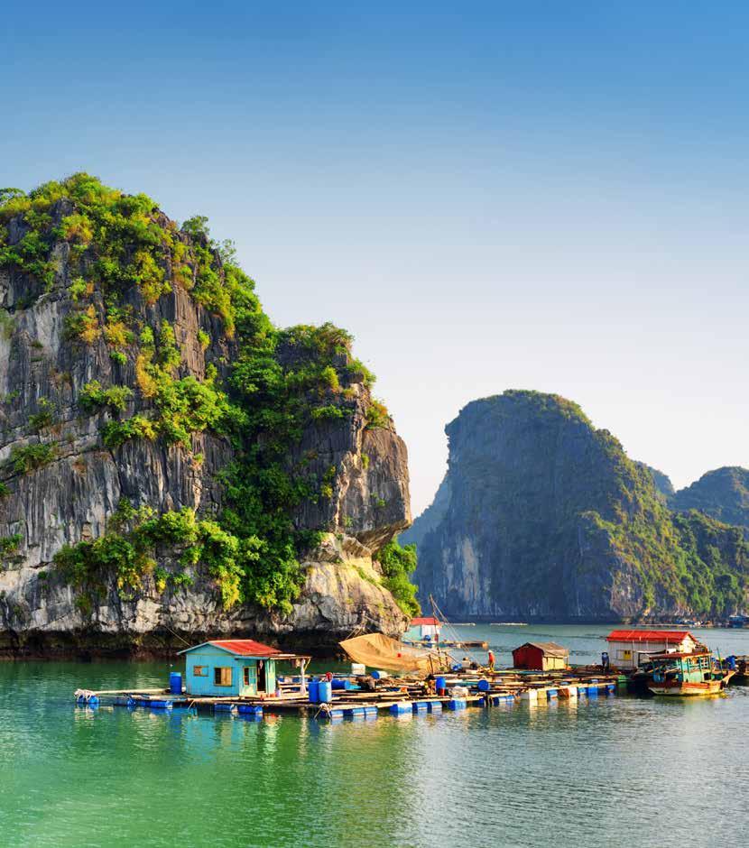 Cruise Asia Singapore Thailand Vietnam China Hong Kong Japan Philippines Valid for Travel: