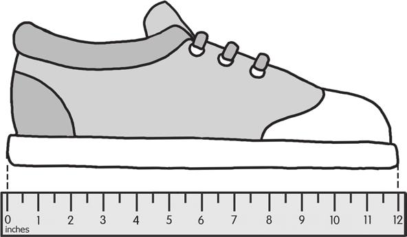 Fill in the blanks. 15. The shoe is about inches.