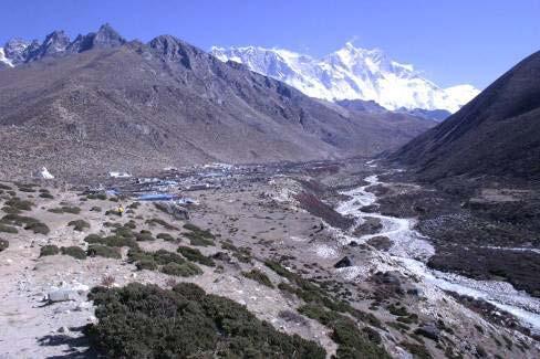 at Dingboche If