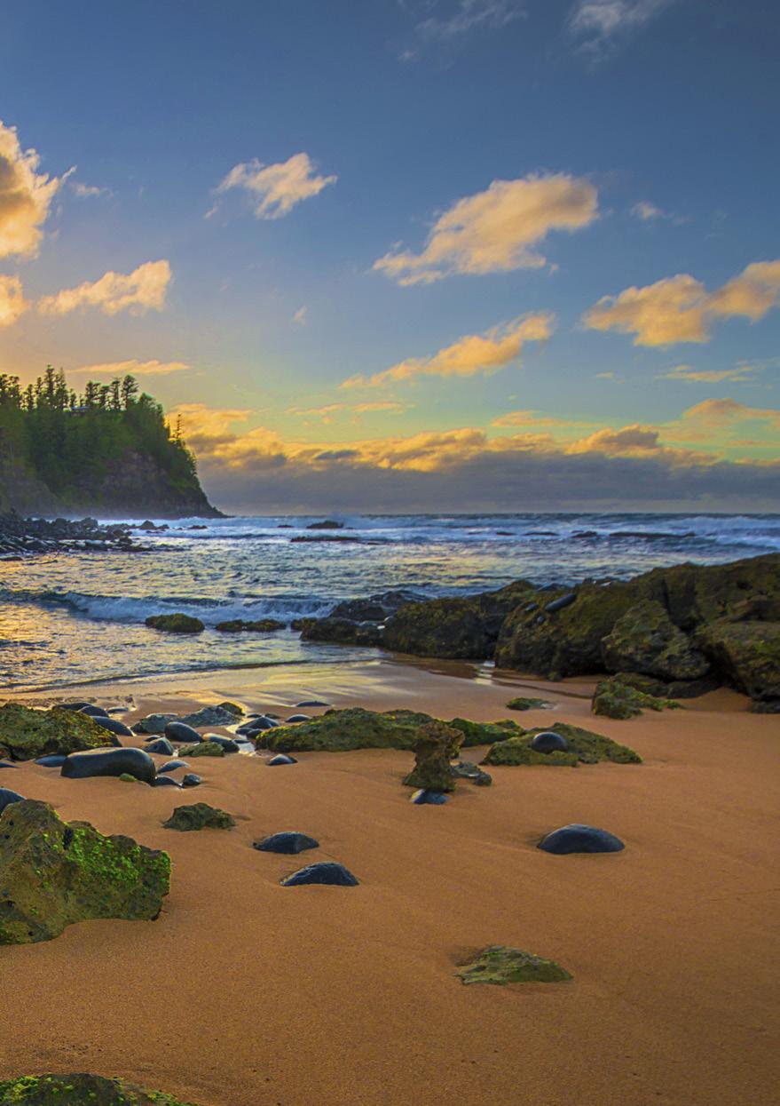BOOK NOW Norfolk Island Tours & Activities April 2017 - March