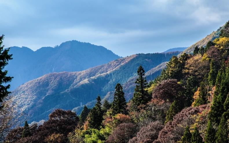 TOKYO, KYOTO, IMPERIAL NARA & THE NAKASENDO PATH 12-days / 11-nights inn-to-inn GUIDED walk from Tokyo to Kyoto The Nakasendo Trail linked Kyoto to Tokyo during Japan s feudal period.