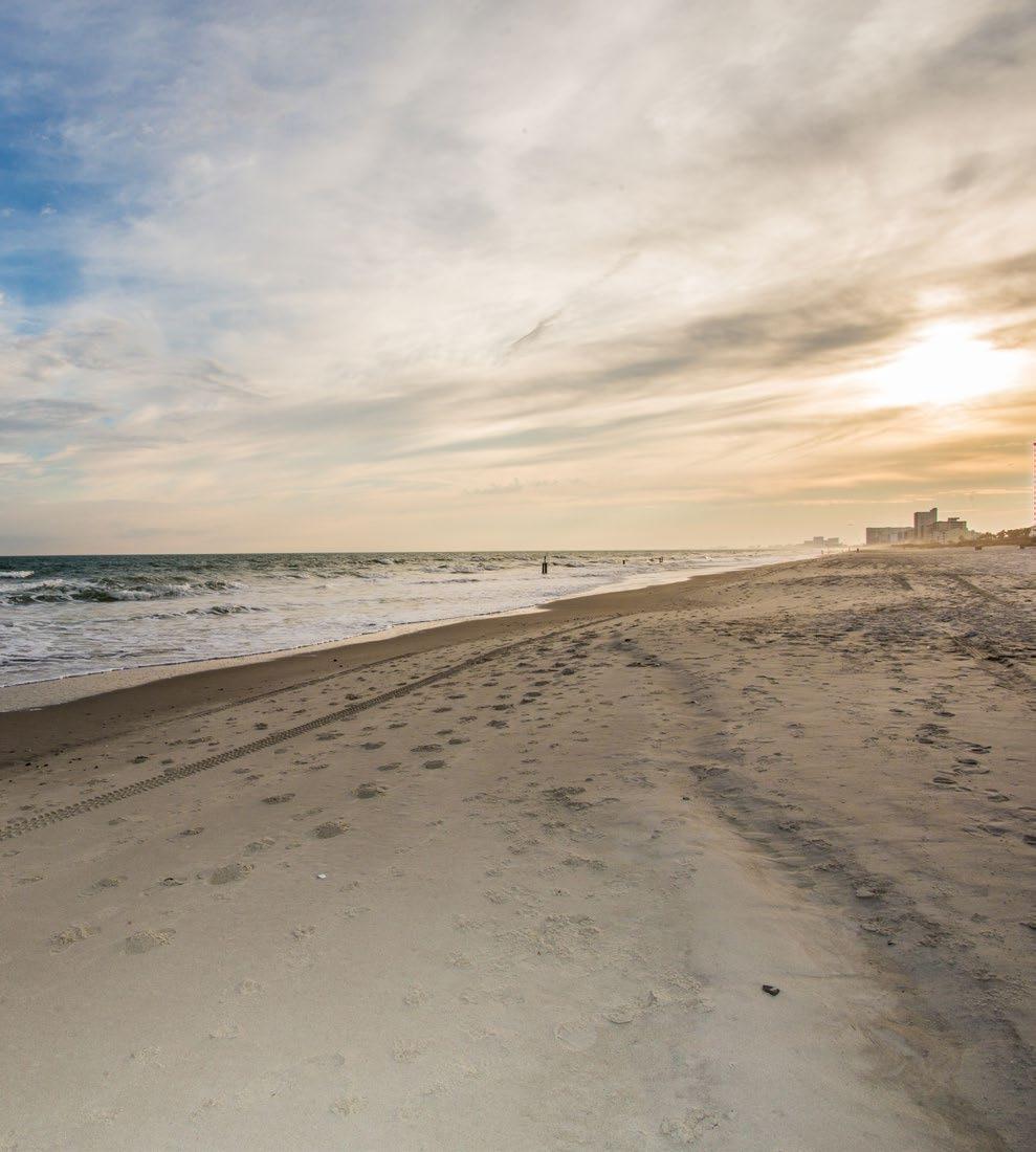 Make North Myrtle the Beach of a Lifetime You can enjoy all the things that attract travelers from