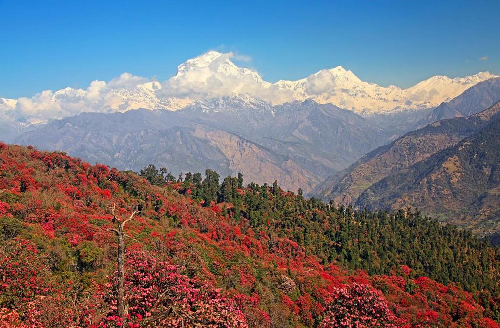 Tour Itinerary Weather The late spring is not the most popular season for trekking; this is because the lowland areas of Nepal (up to 1,524 metres) are hot at this time of the year, and because cloud
