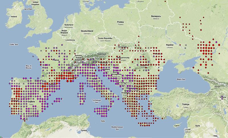 7 LEGENDA: Gnezditvena zanesljivost: Velikostni red populacije (št. gnezdečih parov): Slika 2: Karta razširjenosti velikega skovika v Evropi.