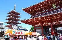 When the Shogun Governer established a government there in the early 17th century, the area started to develop,