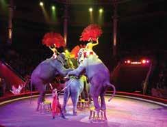 Experience the highlight of Russia The world famous Russian Circus. This morning enjoy a leisurely breakfast at the hotel and enjoy some free time.