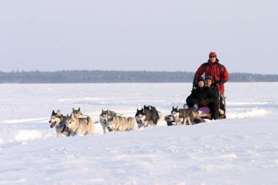 Ylva runs a very personal sled dog experience and she has a very unique relationship with her dogs making it always feel like a privilege to spend time with her.