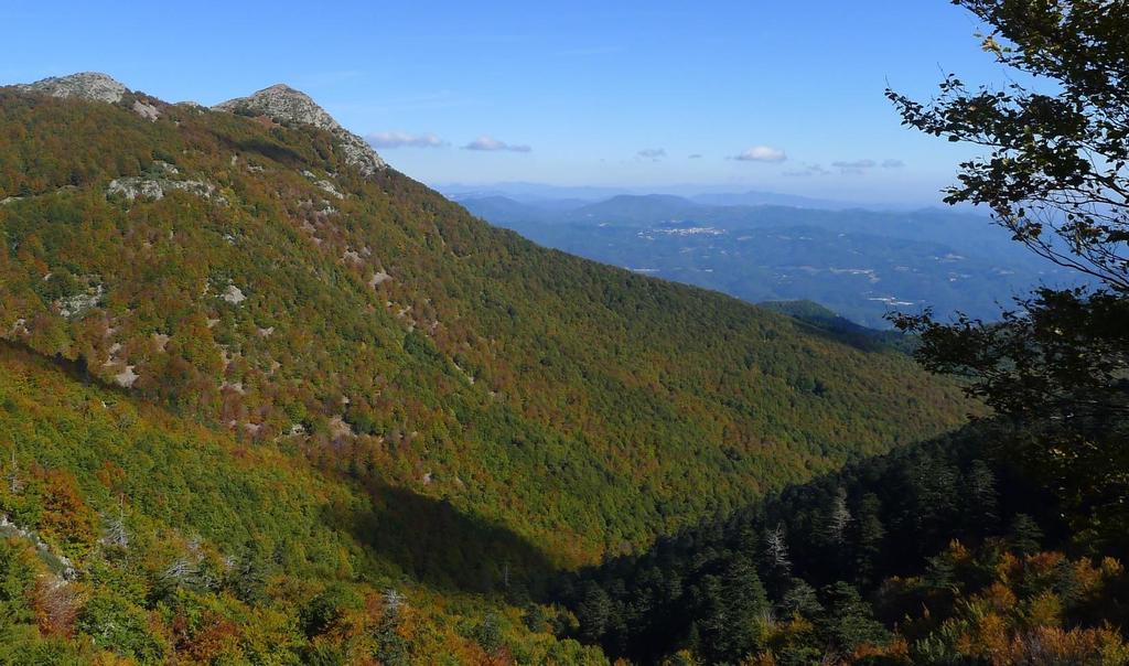 10. MONTSENY, THE NATURAL HEART OF CATALONIA In this tour we will discover the Montseny Natural Park: a massif full of forests of all kinds, with hidden botanical and faunal treasures.