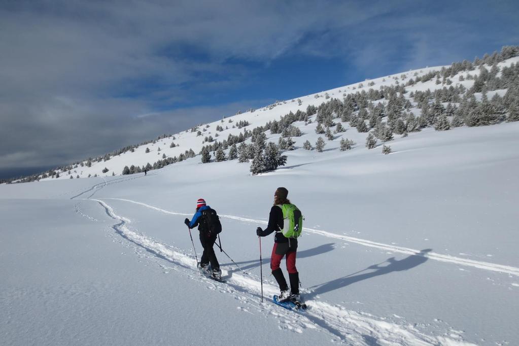 14. SNOWSHOEING EXPERIENCE IN PYRENEES This snowshoe hike makes us discover a quiet and beautiful place at the headwaters of the Ter river: Portella de Mantet.