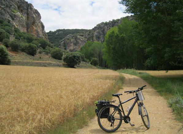 CYCLING THROUGH LANDSCAPES OF CASTILE Moderate+ level tour Day 1: Arrival to Ayllon. Arrival to Ayllón and visit this fabulous Medieval town.
