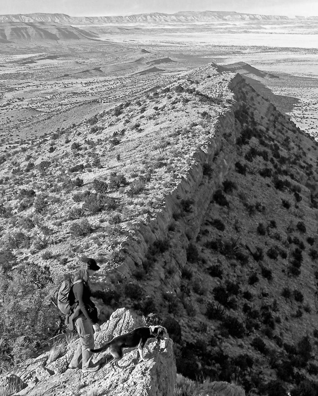 T h e c h i h u a h u a tra i l 51 :: Sierra Ladrones 283 About 3.5 miles up the ridge, you ve gained 1,300 feet in elevation... adequately explain the strange phenomenon.