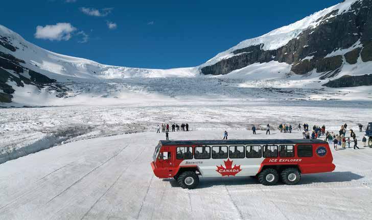 Lunch will be provided. See glaciers left over from the last ice age. Hear stories of early explorers who opened the valleys. See the Athabasca Glacier and Columbia Icefields Centre.