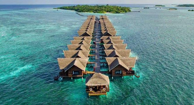 LUXURY MALDIVES & SRI LANKA $ 2999 PER PERSON TWIN SHARE THAT S % 57 OFF TYPICALLY $6999 MALDIVES SIGIRIYA KANDY GALLE THE OFFER Maldives and Sri Lanka - just when you thought these two bucket list