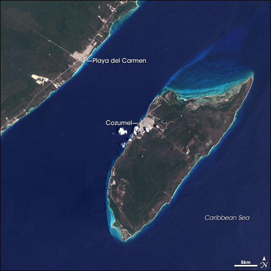 Most dive sites are found within the boundaries of Cozumel Reefs National Marine Park, which protects much of the second largest barrier reef system in the world.
