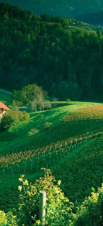 #slovenia DISCOVER LOVE There is an old Slovenian saying that when the world was created, each land got something of its own: one got mountains, another sea, this one endless fields, that one dense