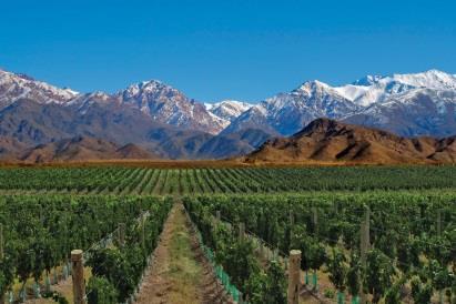 Mendoza, possessing the 70% of the vineyards of the country and same percentage of wine production is the main oenological centre of South America. The afternoon is free at leisure.