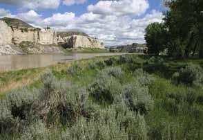 k-m HIGH ADVENTURE MISSOURI RIVER TREKS THIS IS NOT YOUR MOTHER S SUMMER CAMP For troops and crews looking for a more adventurous summer camp experience, look no further than K-M
