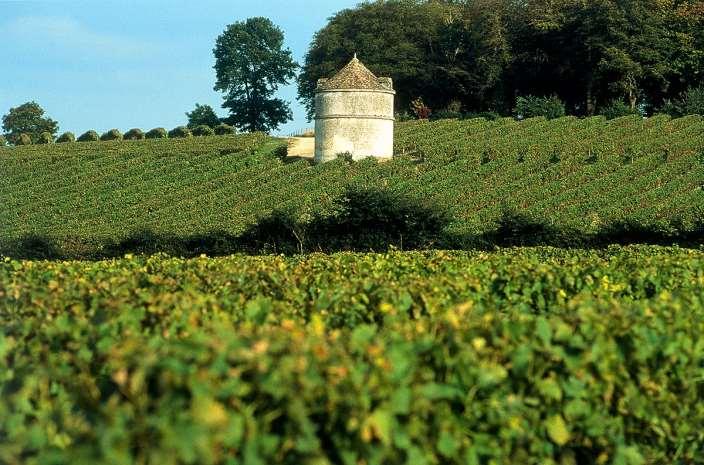 France -The Charente Gourmet Tour in Land of Cognac Cycling Tour 2018 Individual Self-Guided 8 days/7 nights OR 7 days/6 nights OR 6 days/5 nights Self-guided biking tour in the land of the "nectar