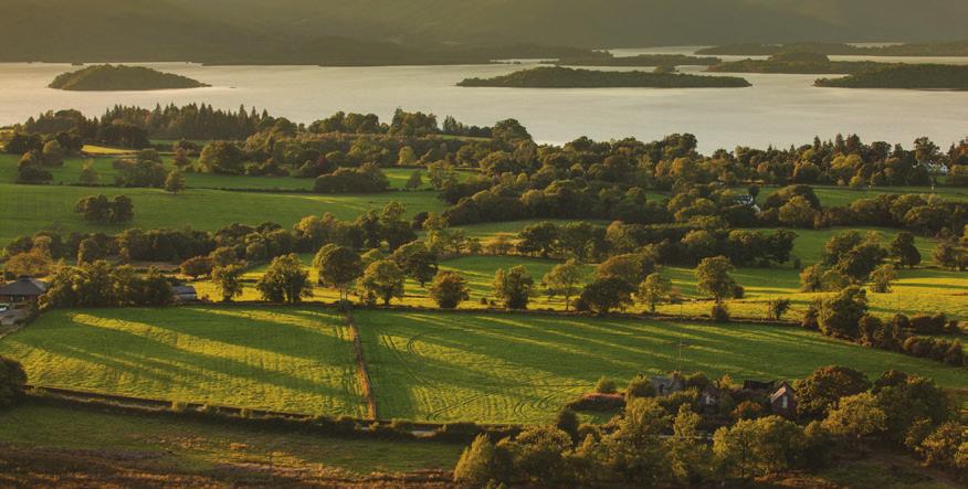 (D) Friday, May 3: Glasgow, Loch Lomond & Stirling Excursion Beautiful Loch Lomond is your first destination today, and a CRUISE past pretty islands brings you from Luss to the picturesque village of