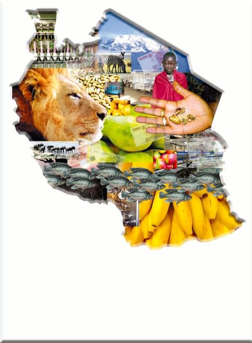 SPECIAL ADVERTISING SECTION AFRICAN ECONOMIES TANZANIA Tanzania, a country full of opportunities With sound financial polices creating steady growth, Tanzania has all the conditions in place for an