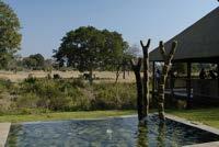 Page 7 Swimming Pool Large, comfortable suites Waterhole A DAY IN THE LIFE ON SAFARI A typical day on safari essentially revolves around the need to see wildlife at its most active.