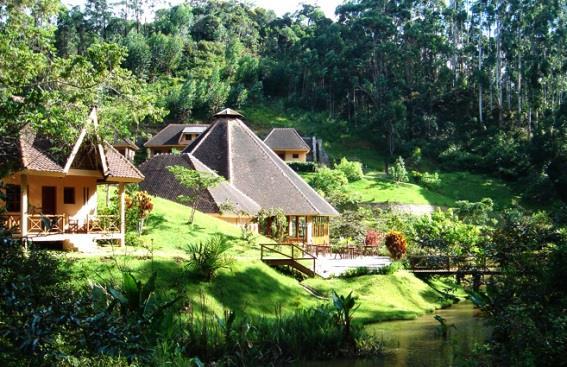 We will visit the park and have a night walk. On arrival we will check in to the Vakona Lodge where you will stay for the next 2 nights.