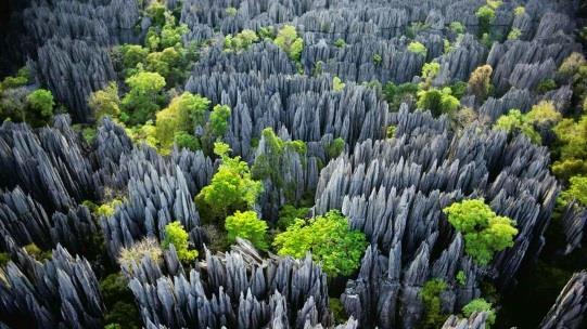 The unusual geomorphology of the Tsingy de Bemaraha World Heritage Site, which encompasses both the National Park and the adjacent Strict Nature Reserve,