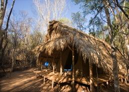 LOVERS CAMP CAMP AMOUREUX The corridor of Menabe Antimena, with a size of 220 000ha, is home to existing various type of ecologic habitat (dry forests, mangroves, lakes etc.