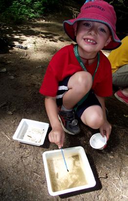 Discovery DATES: June 8-12 (Lions and Tigers and Bears) June 15-19 (Junior Naturalists) June 22-26 (Caterpillar Crazy) July 6-10 (Lions and Tigers and Bears) July 13-17 (Junior Naturalists) July