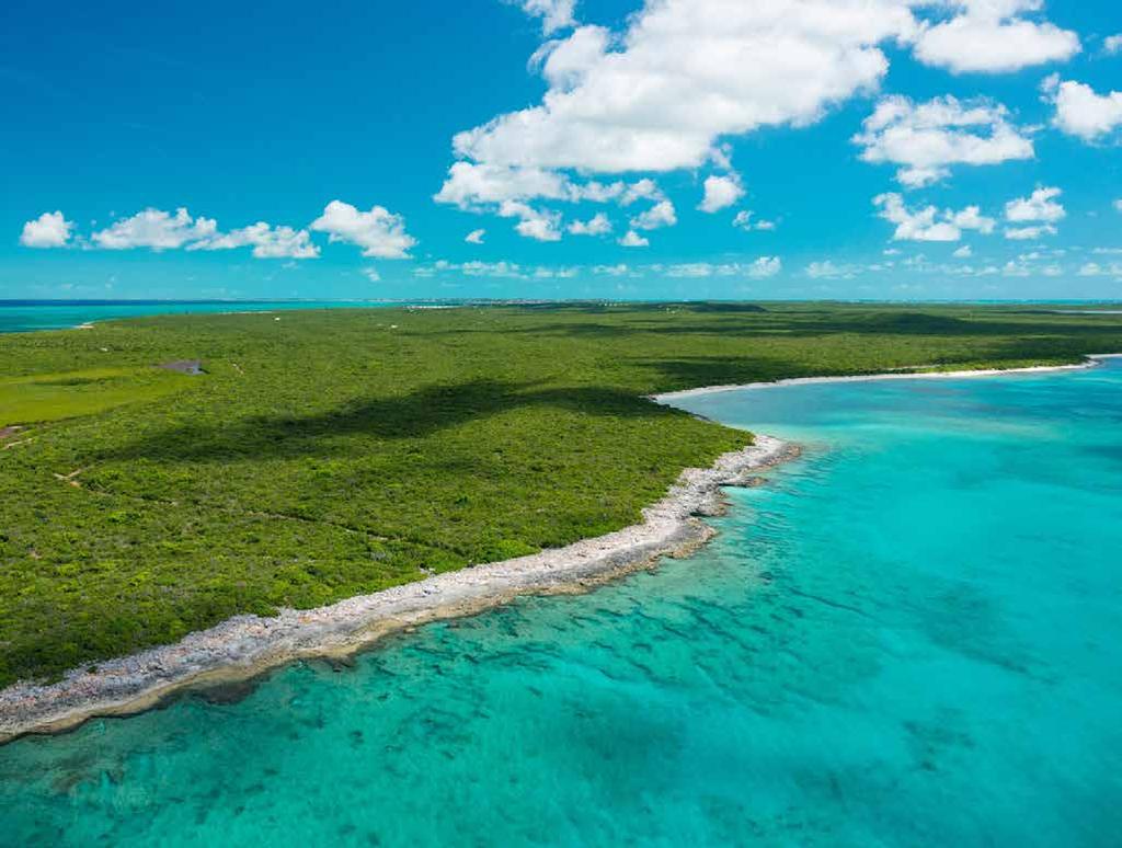 TURKS & CAICOS SOTHEBY S INTERNATIONAL REALTY $23,000,000 Turks and Caicos Islands This spectacular 169-acre development parcel has more than 2,793 feet of frontage and an ideal mix of