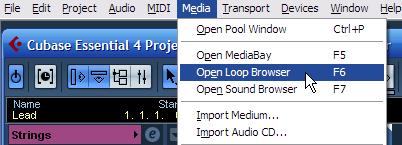 Công cụ này ta sẽ xem thêm ở phần sau - MediaBay. Trong cửa sổ này ta có thể tìm kiếm các tập tin audio, dùng thẻ tag để phân loại các loop.