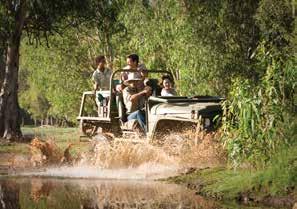 Lord s tours have an Aboriginal heritage focus and all itineraries are on request and are tailored to suit the groups specific needs. www.lords-safaris.