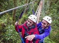 2017 Conference Planner ACTIVITIES 35 Rotorua Canopy Tours Rotorua Canopy Tours provide